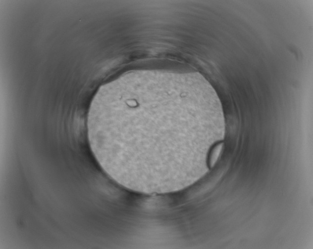 X0000113900527200910221441