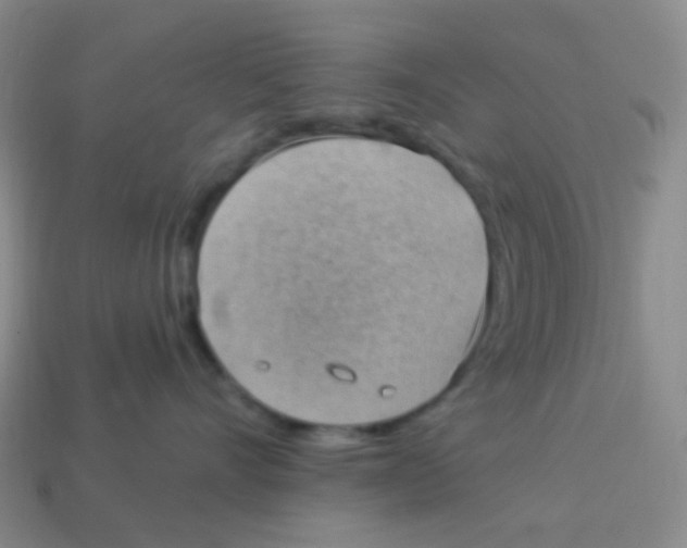 X0000113900528200910221441