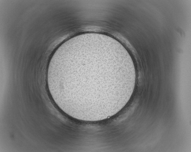 X0000113900529200910221440