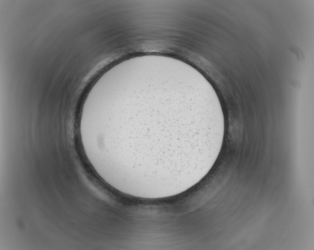 X0000113900530200910221440