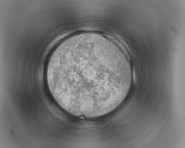 X0000113900531200910221440