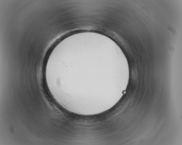 X0000113900532200910221440