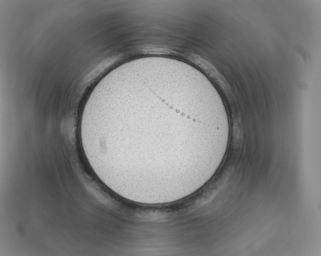 X0000113900533200910221440