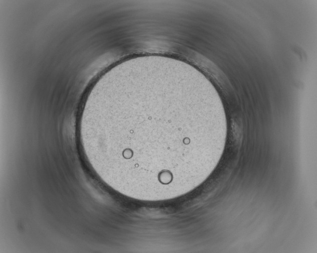 X0000113900534200910221440