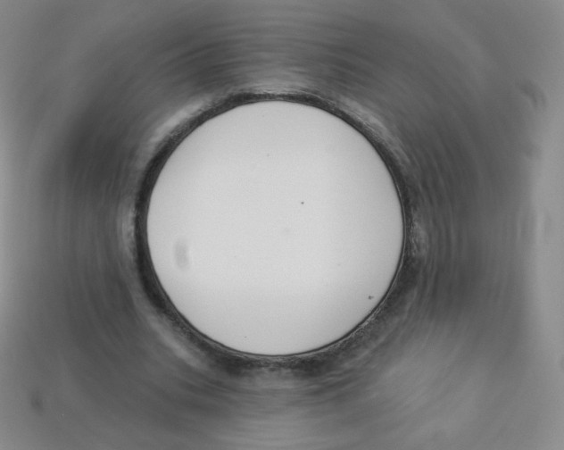 X0000113900535200910221440