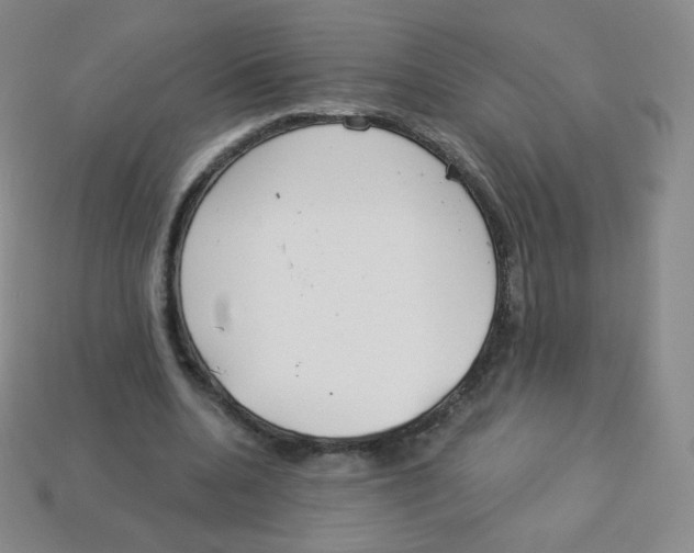 X0000113900536200910221440