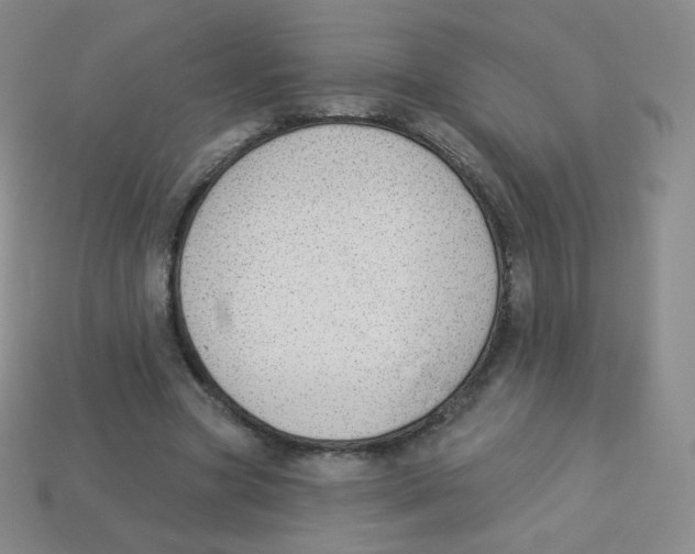 X0000113900537200910221440