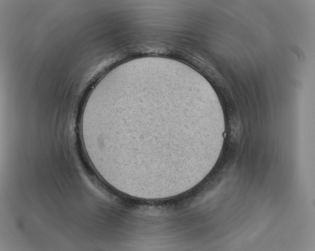 X0000113900538200910221440