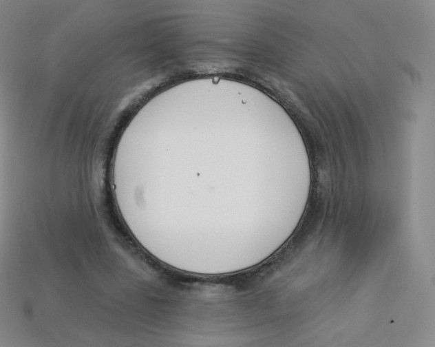X0000113900539200910221440