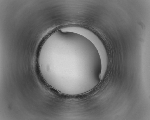 X0000113900540200910221440