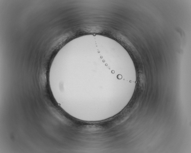 X0000113900541200910221440