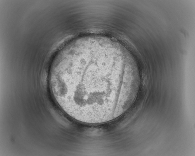 X0000113900542200910221440