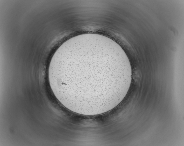 X0000113900544200910221440