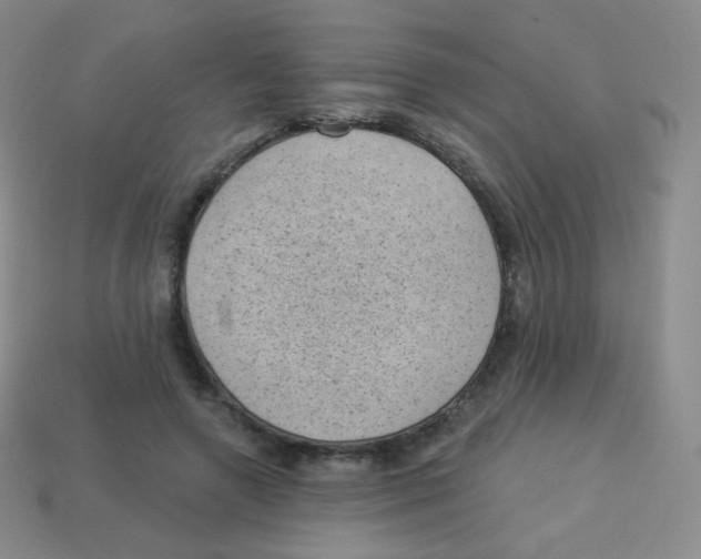 X0000113900546200910221440