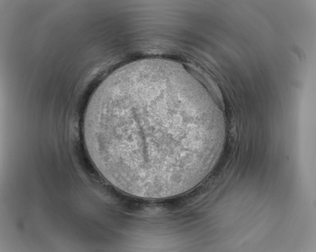 X0000113900547200910221440