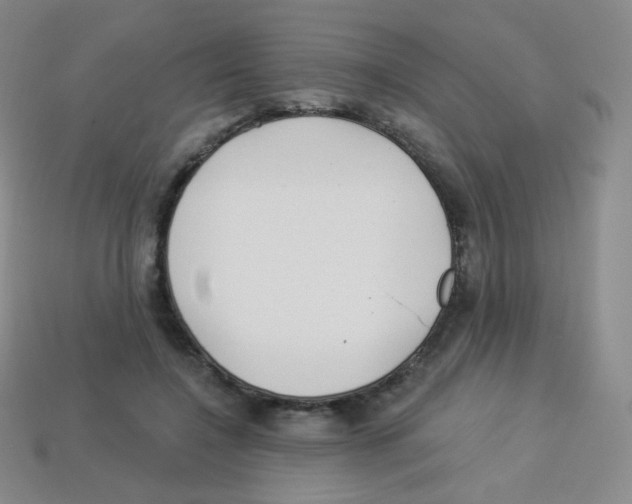 X0000113900548200910221440