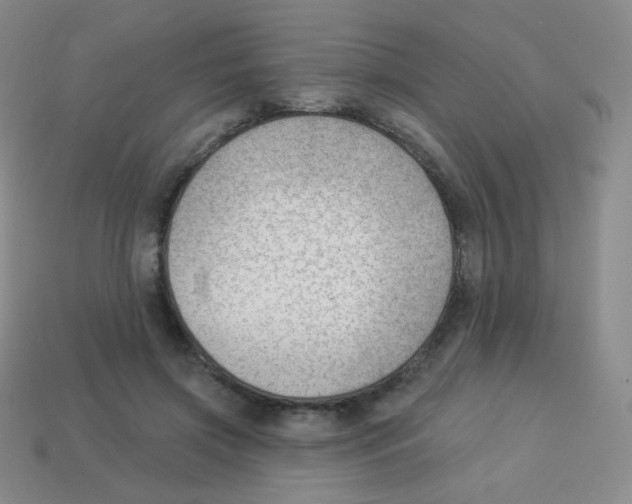 X0000113900549200910221440