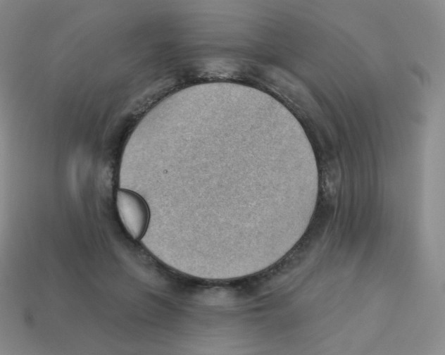 X0000113900551200910221440