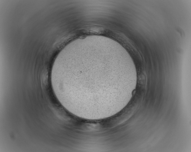 X0000113900552200910221440