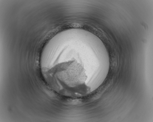 X0000113900553200910221440