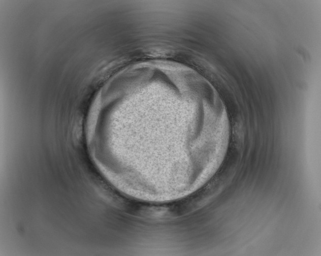 X0000113900554200910221440