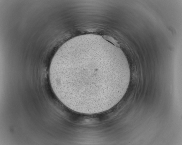 X0000113900555200910221440