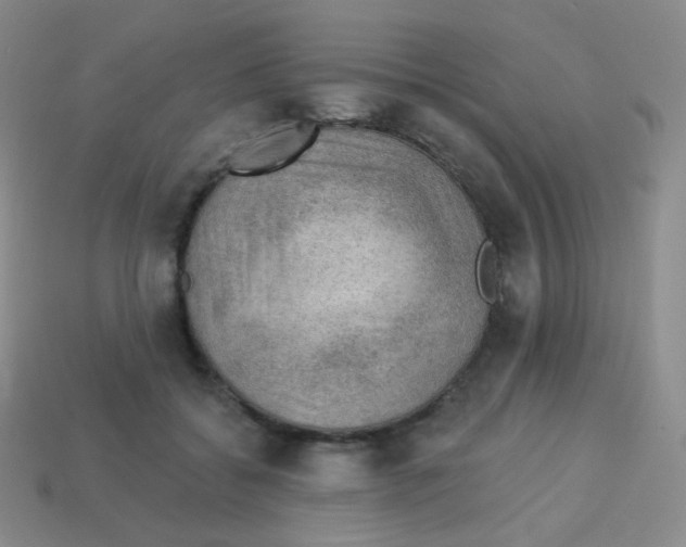 X0000113900556200910221440