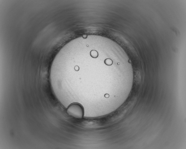 X0000113900557200910221440