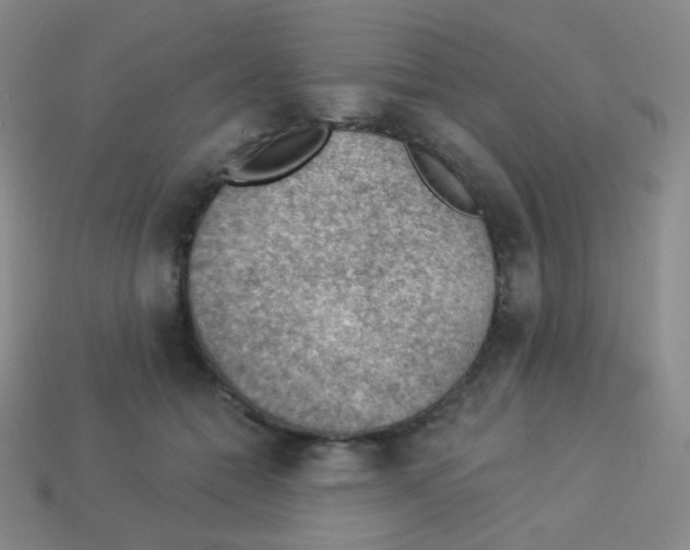 X0000113900558200910221440