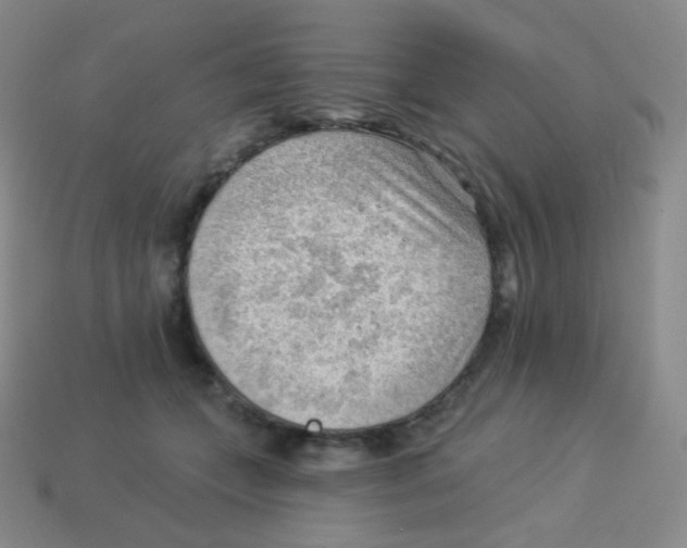 X0000113900559200910221440