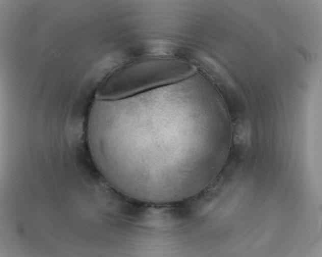 X0000113900560200910221440