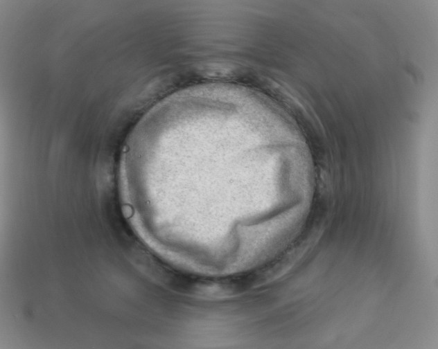 X0000113900561200910221440