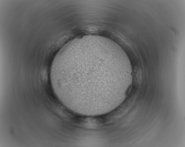 X0000113900562200910221440