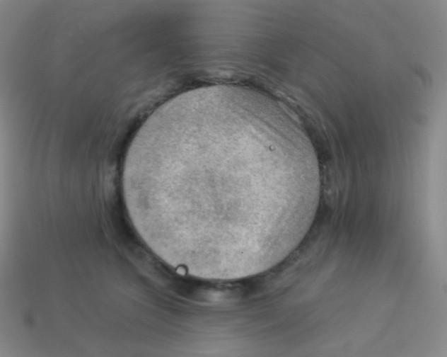 X0000113900563200910221440