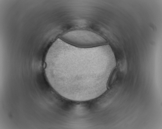 X0000113900564200910221441