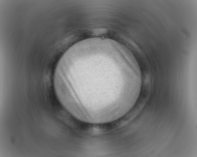X0000113900565200910221441
