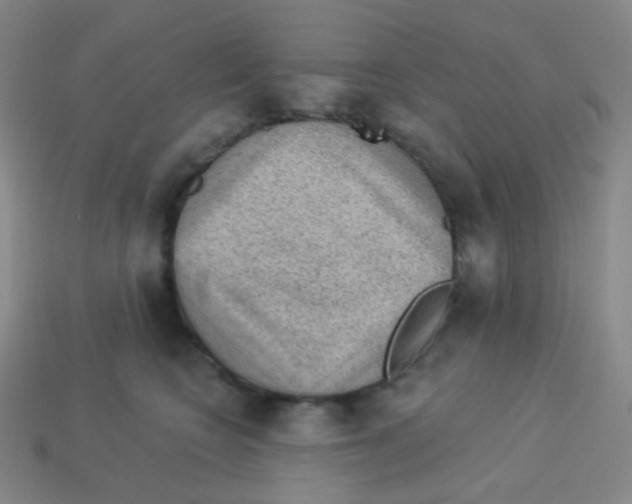 X0000113900566200910221441