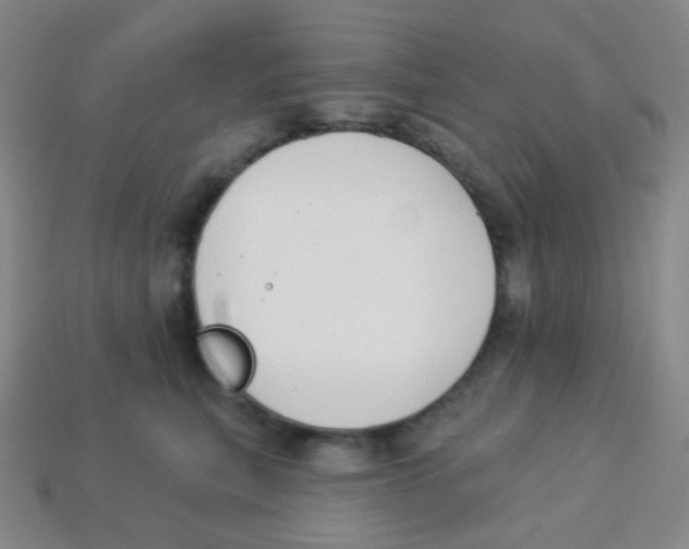 X0000113900567200910221441