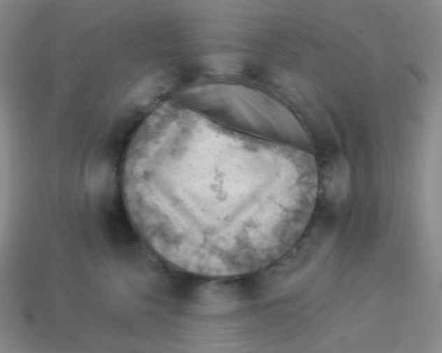 X0000113900568200910221441