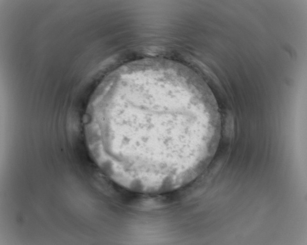 X0000113900569200910221441