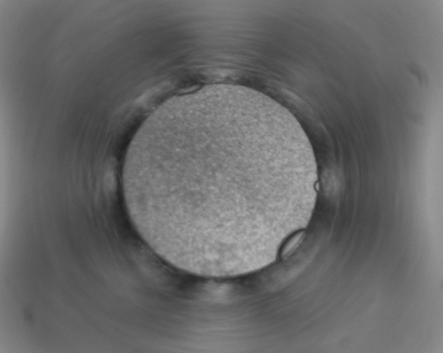 X0000113900570200910221441