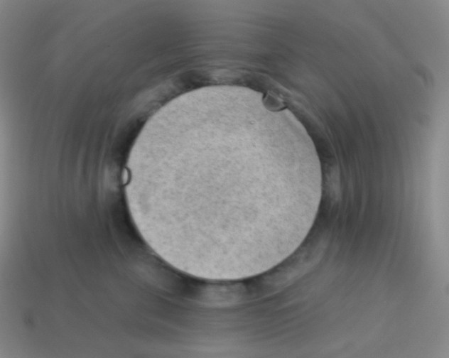 X0000113900571200910221441