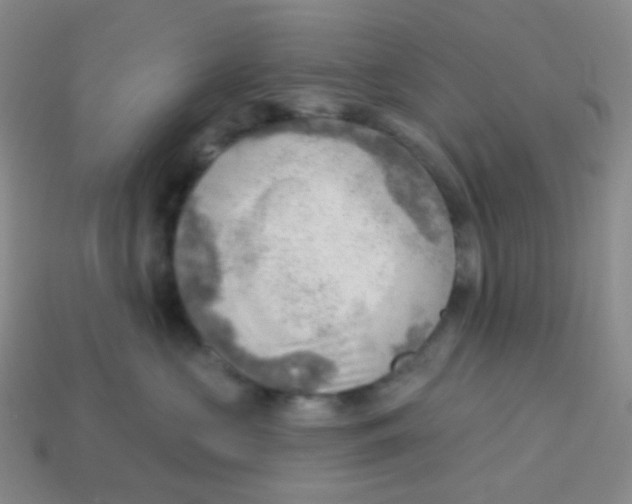 X0000113900573200910221441