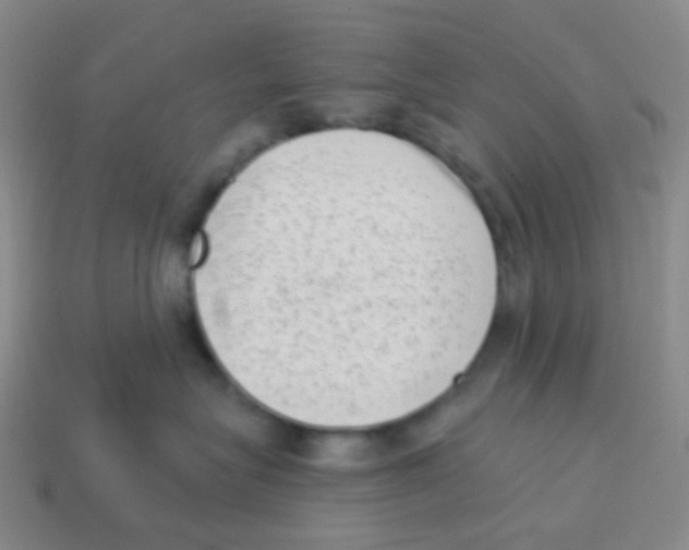 X0000113900575200910221441