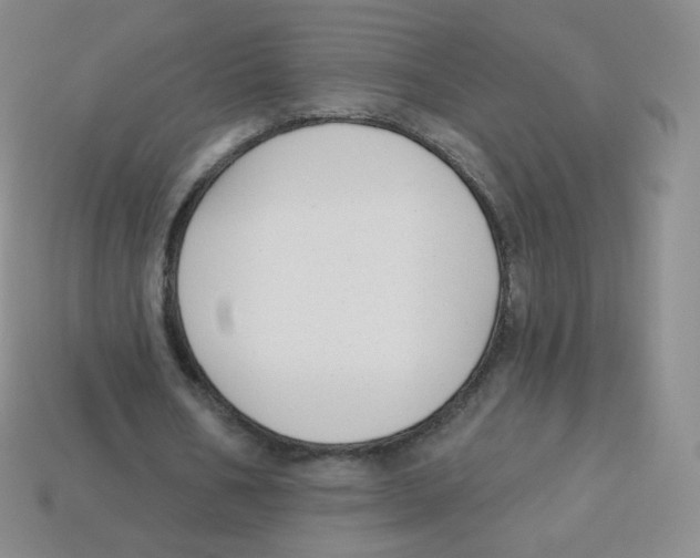 X0000113900578200910221440