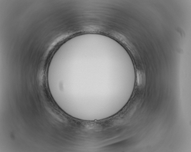 X0000113900579200910221440