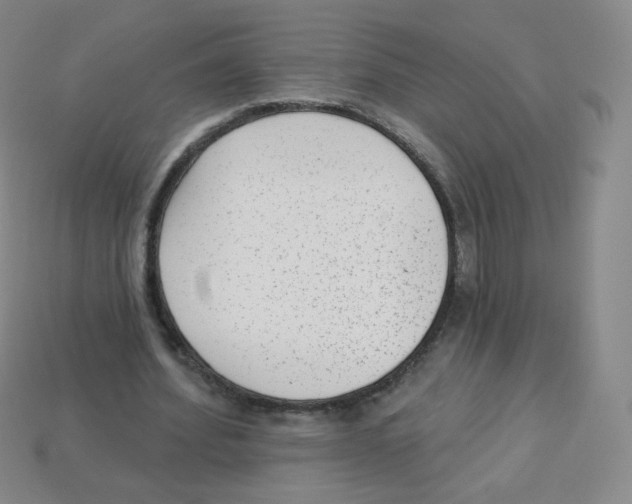 X0000113900580200910221440