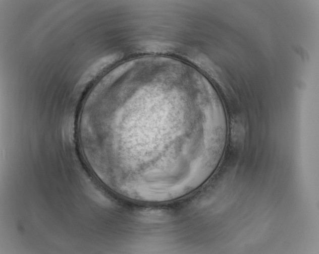 X0000113900581200910221440