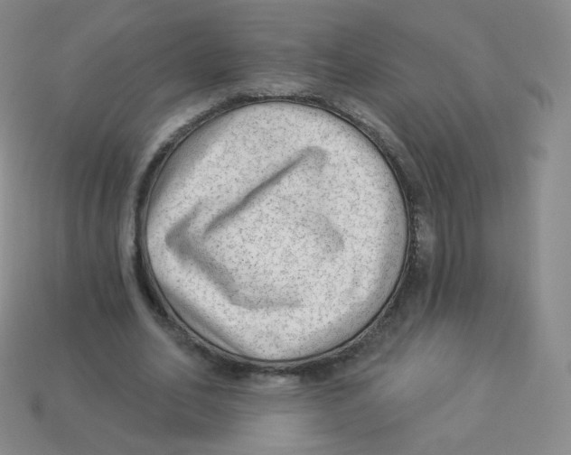 X0000113900582200910221440