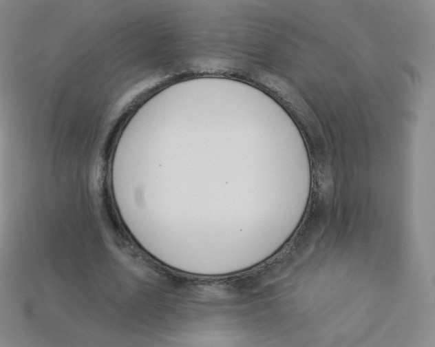 X0000113900583200910221440